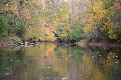 A calm river winding through autumn-colored trees.