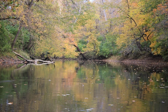 A serene riverbank in autumn with golden leaves gently falling, reflecting calm and peace.