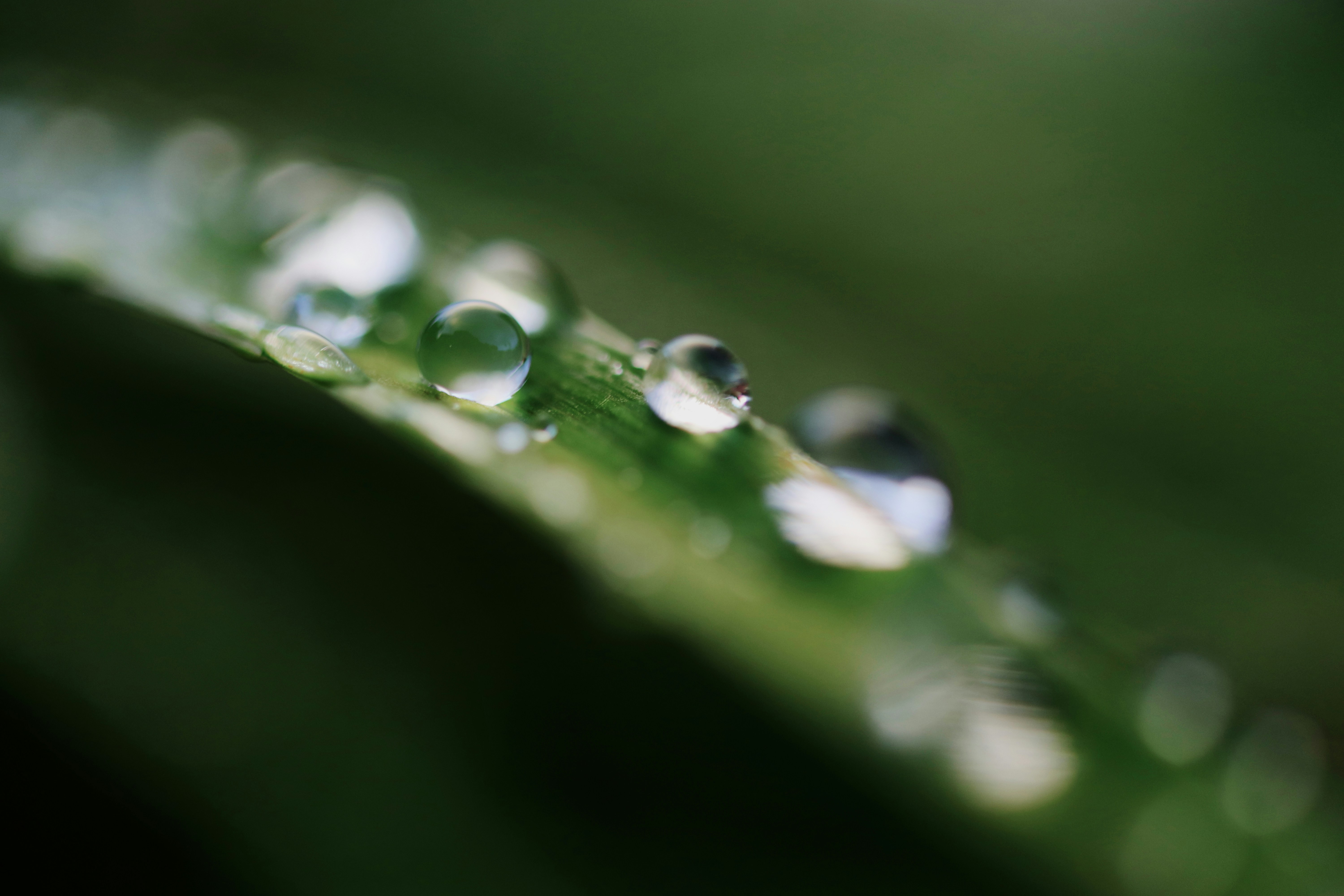 Photo by luke_schobert