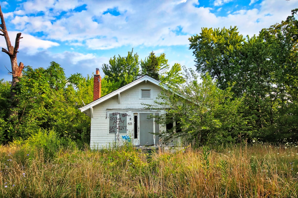 cabin in forest