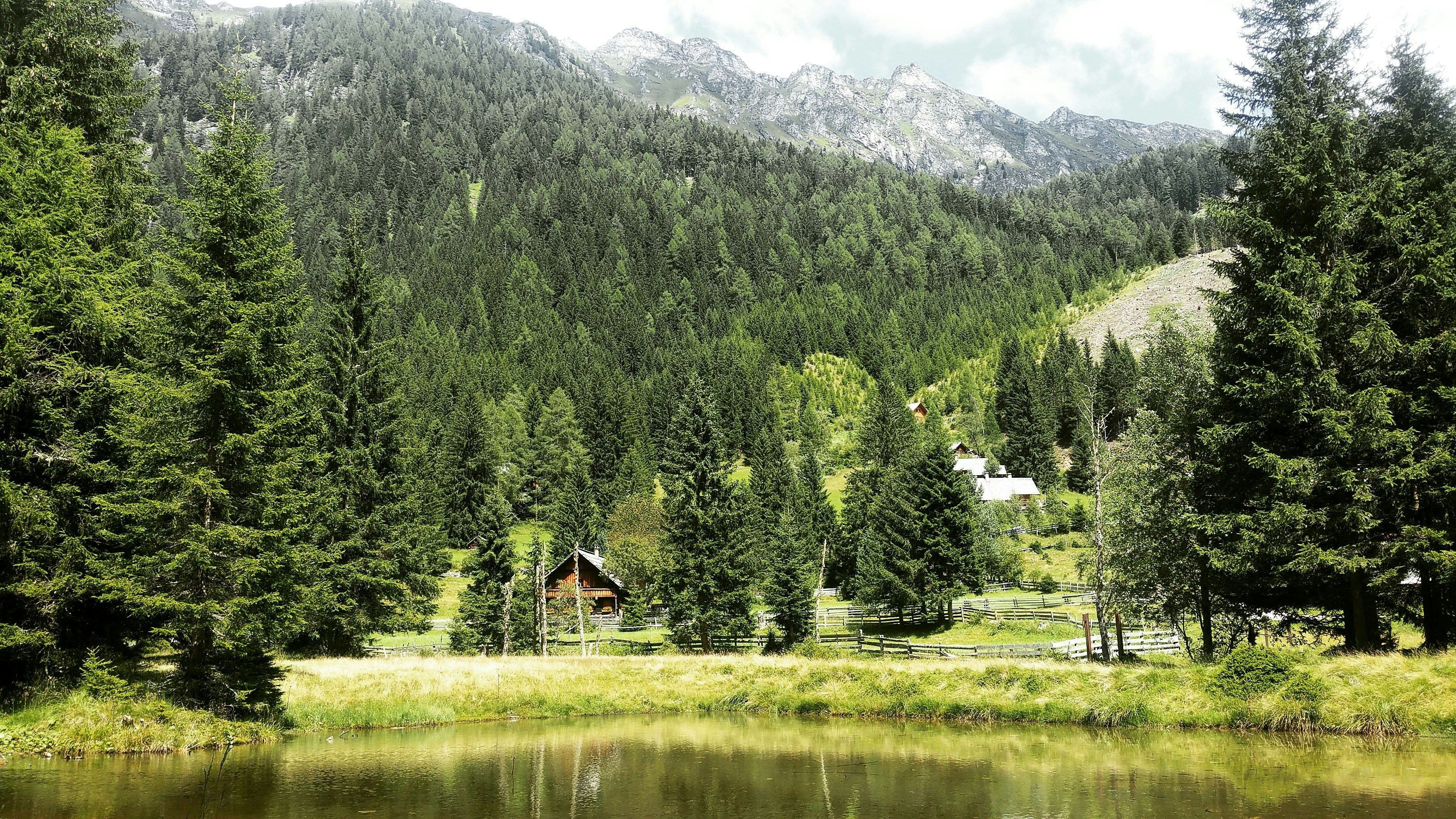 Photo by daisyvandijk