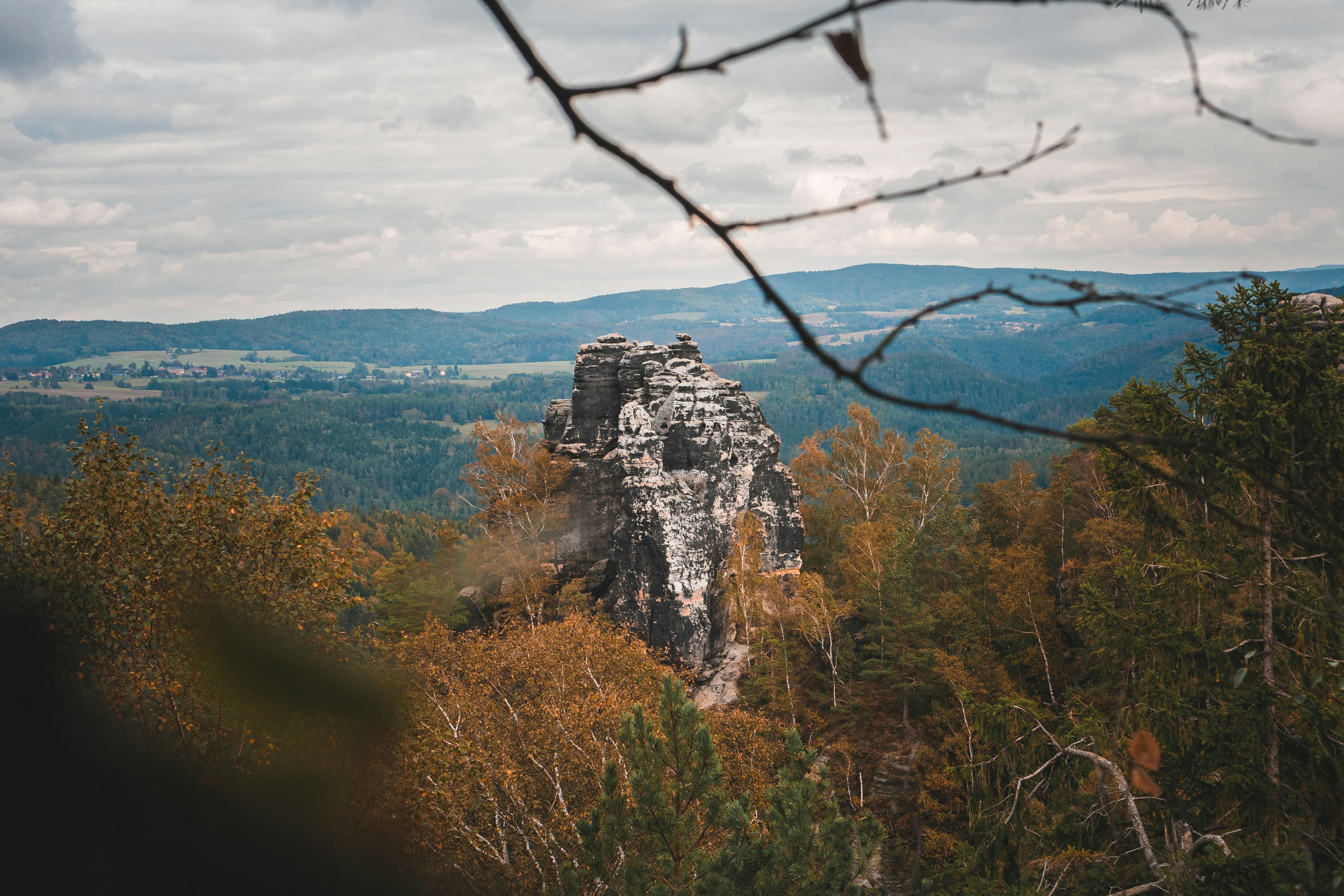 rock formation in forest