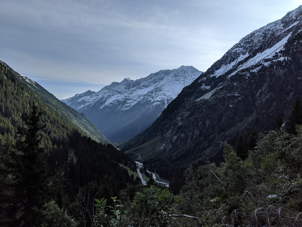 green mountains