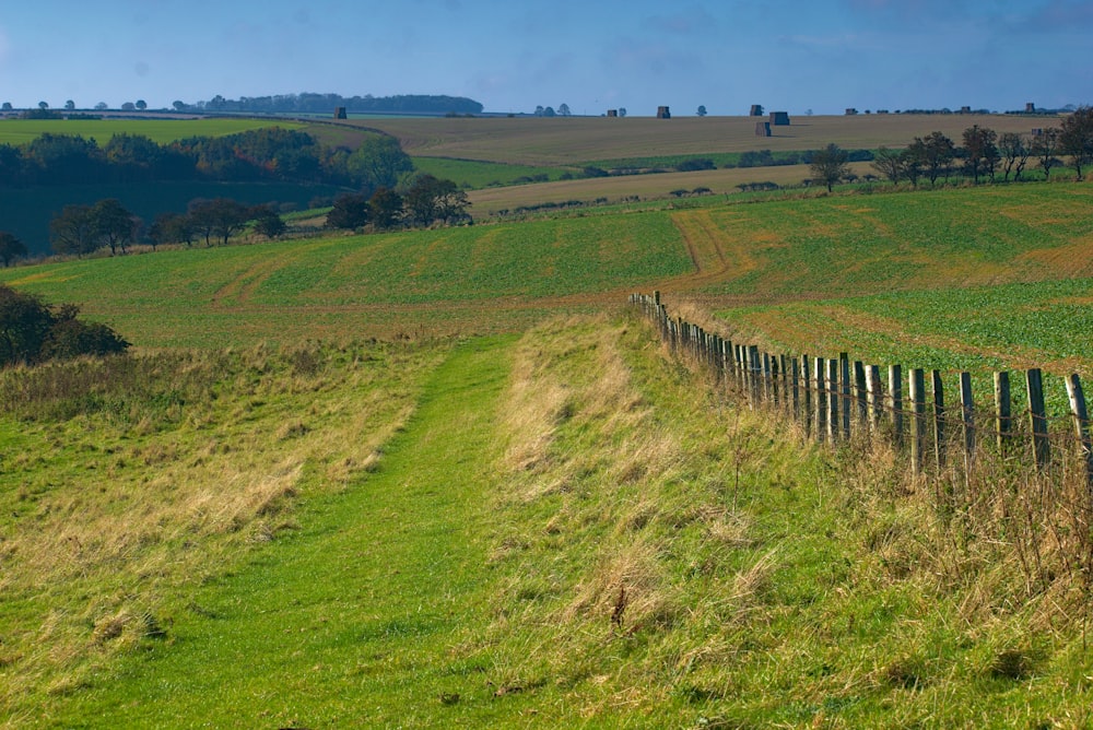 grass field under blue sky