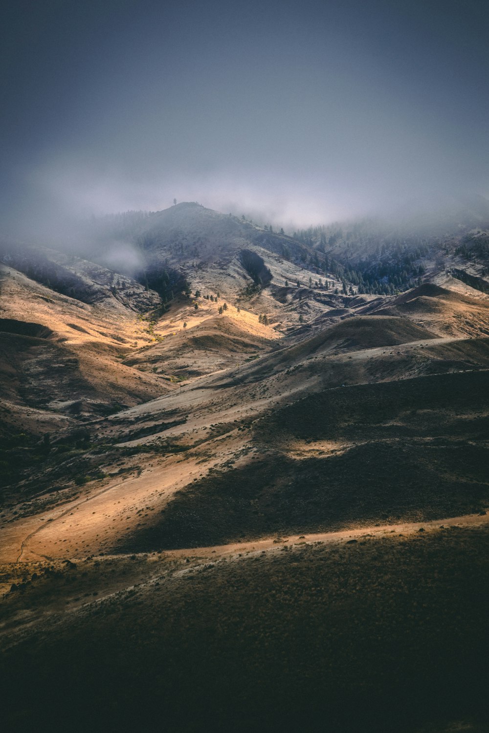 brown mountain during daytime