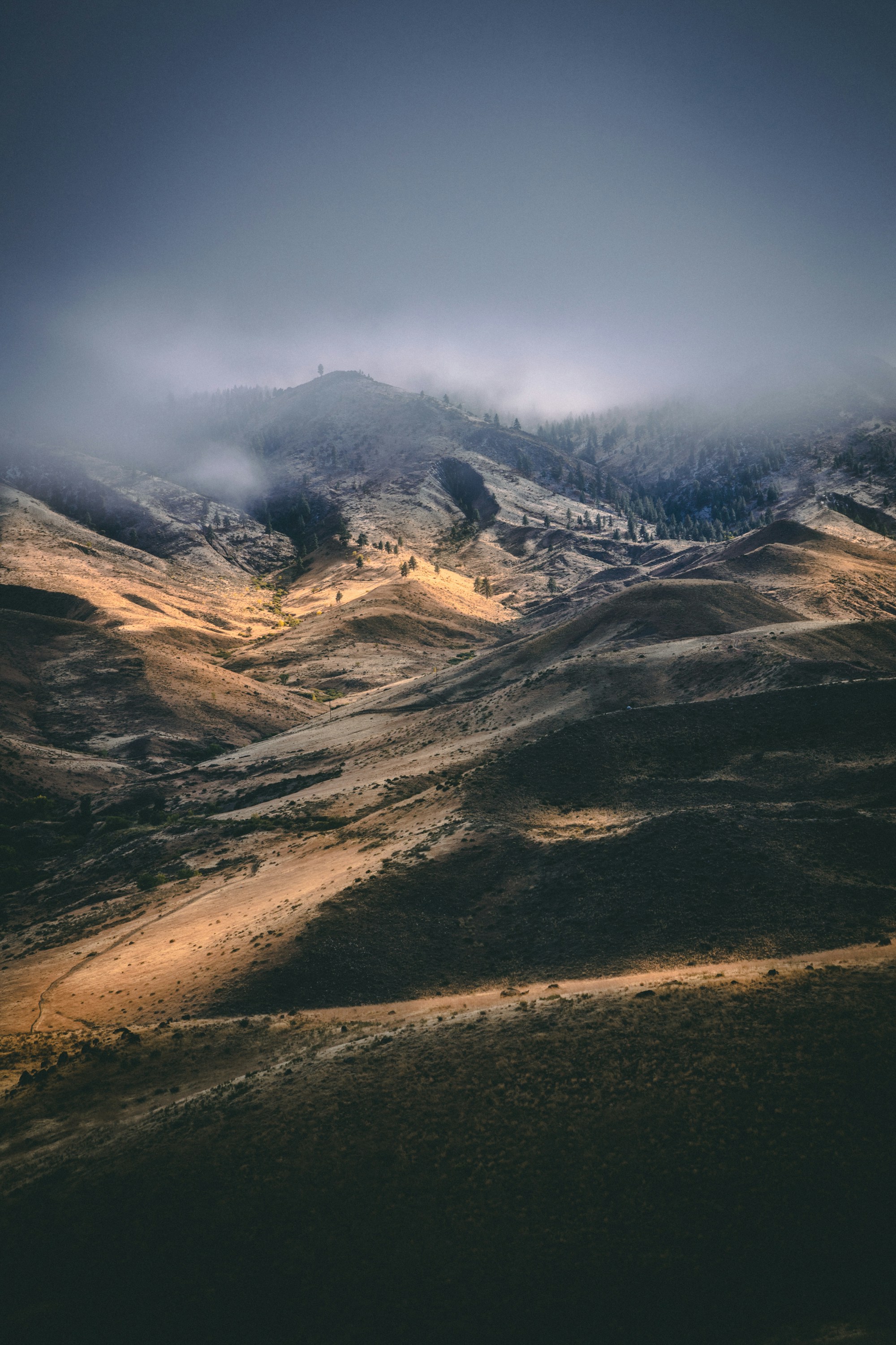 Casalecchio di Reno: Your Comprehensive Travel Guide