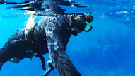 underwater photography of person diving