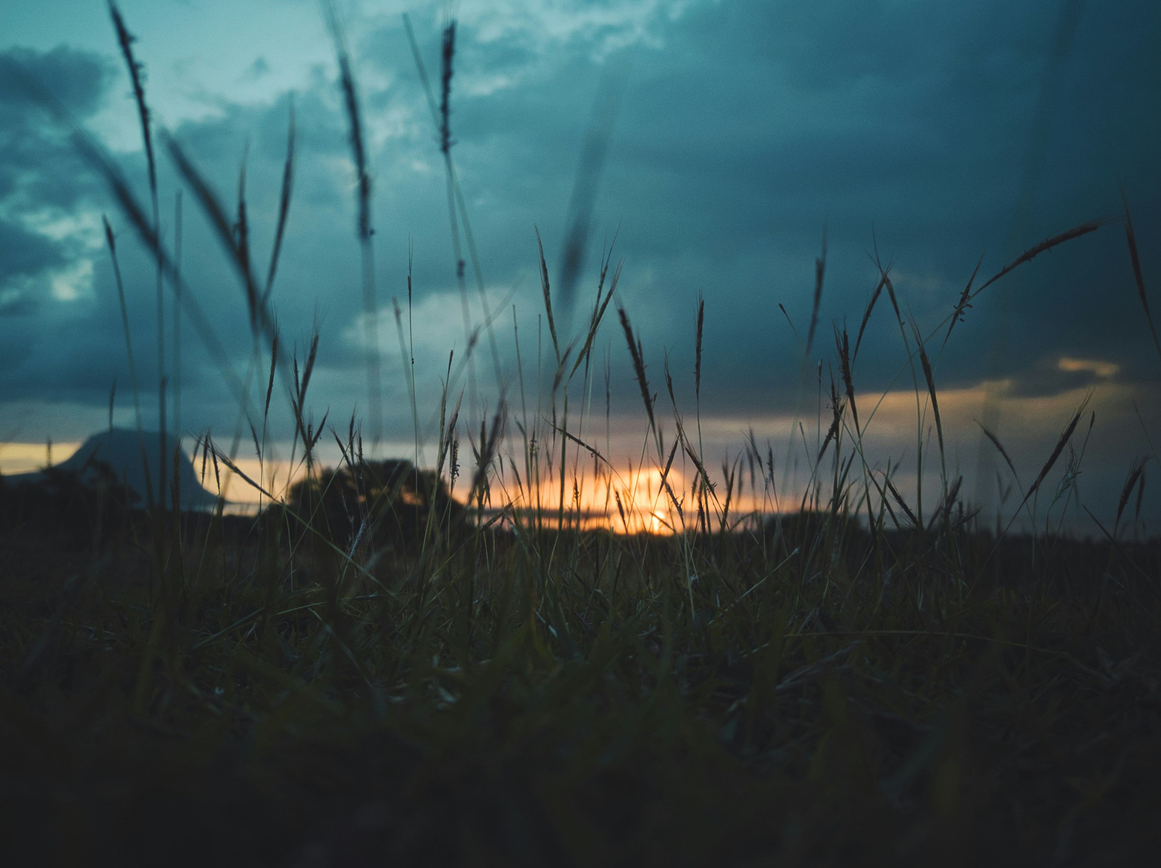 Photo by xaviercoiffic