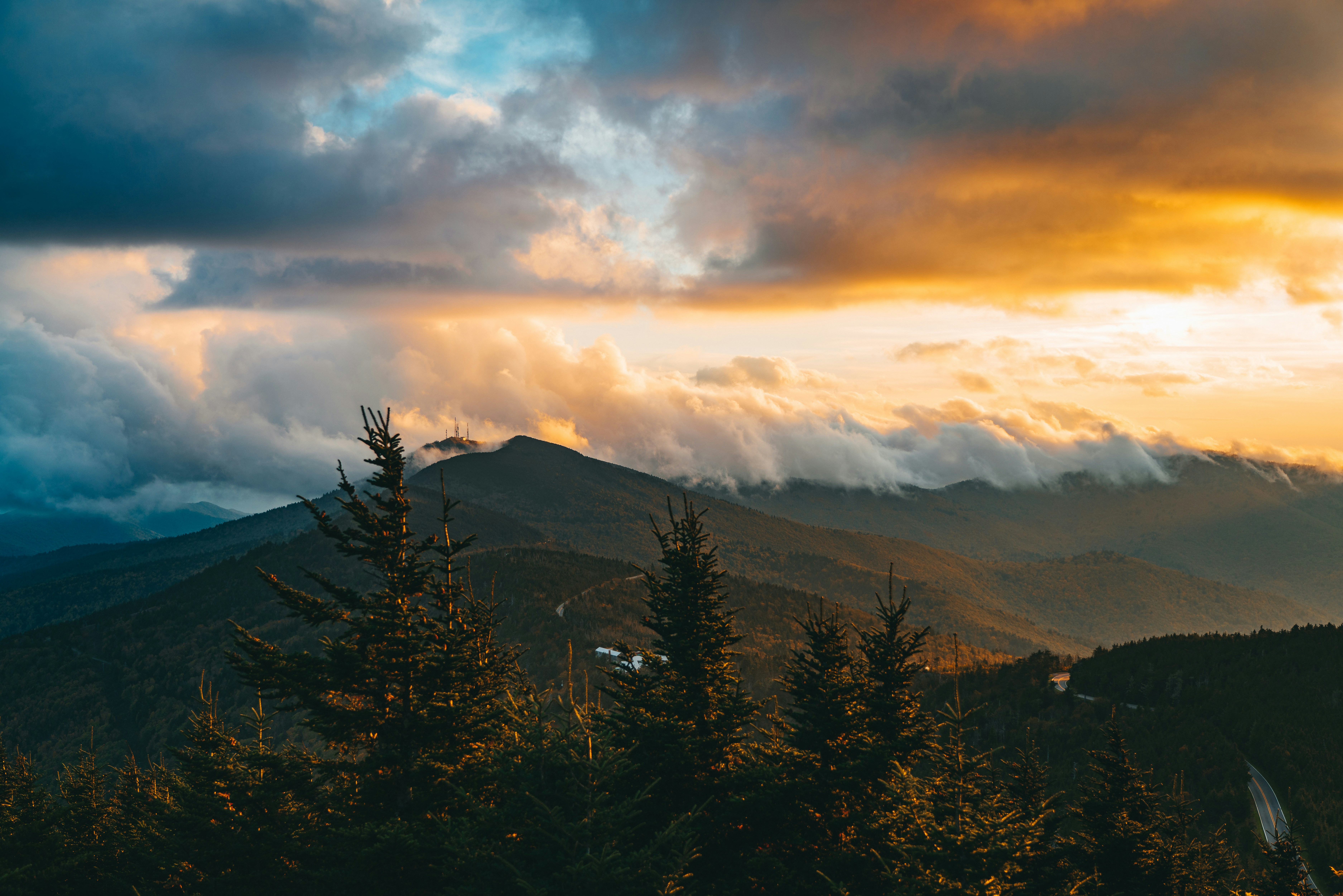 Photo by joshherreraphoto