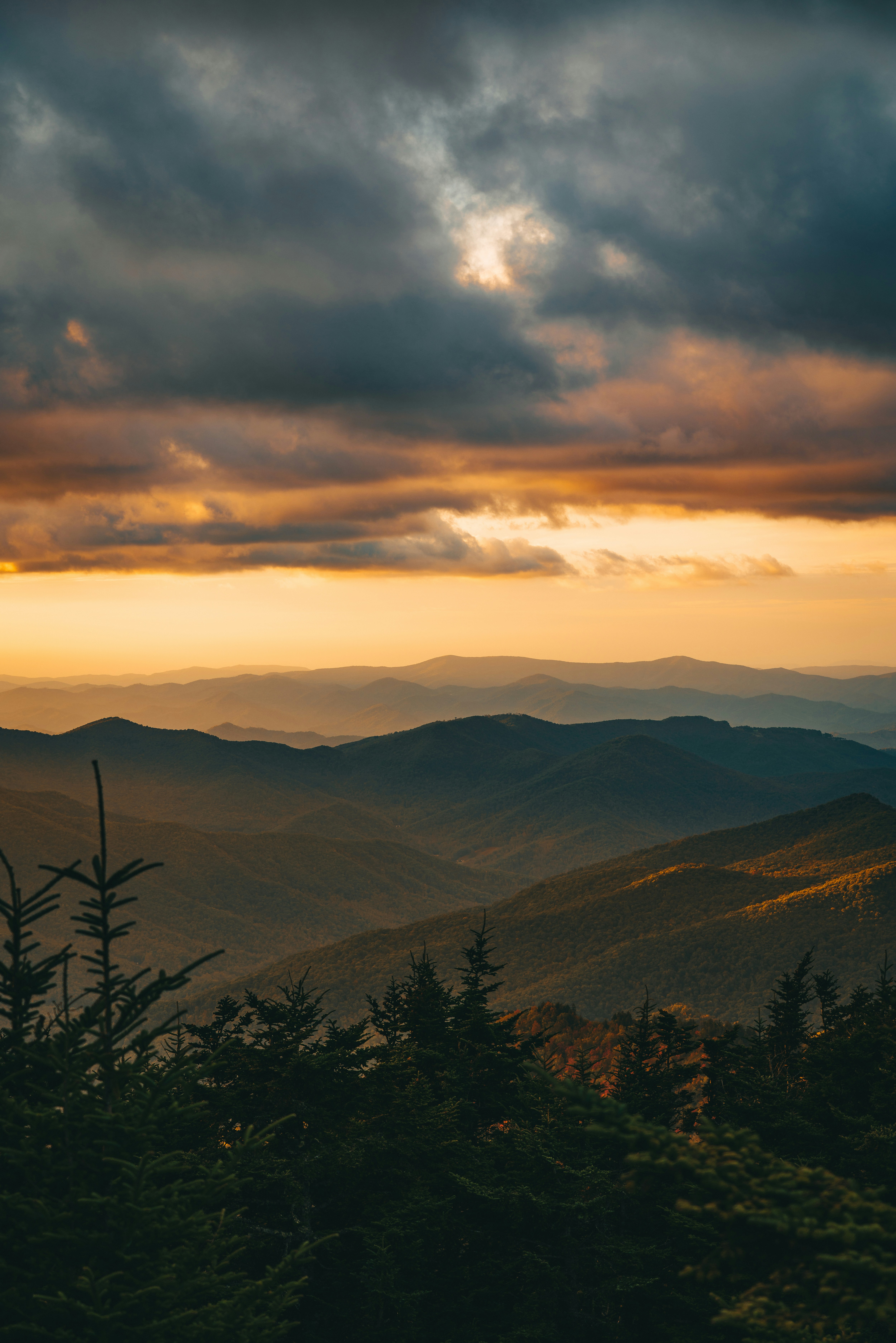 Photo by joshherreraphoto