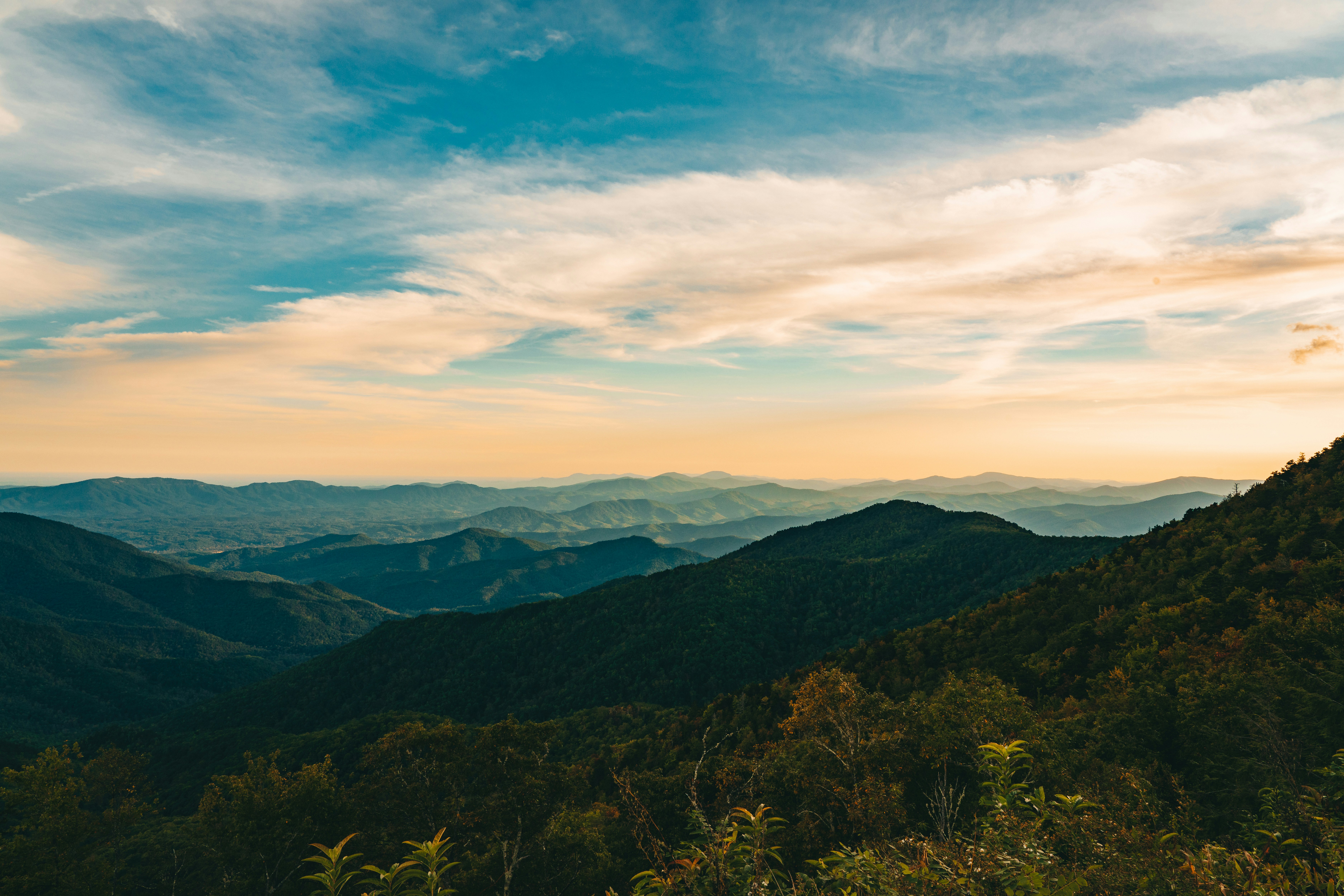 Photo by joshherreraphoto