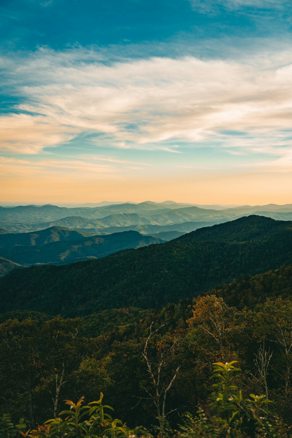 산 사진