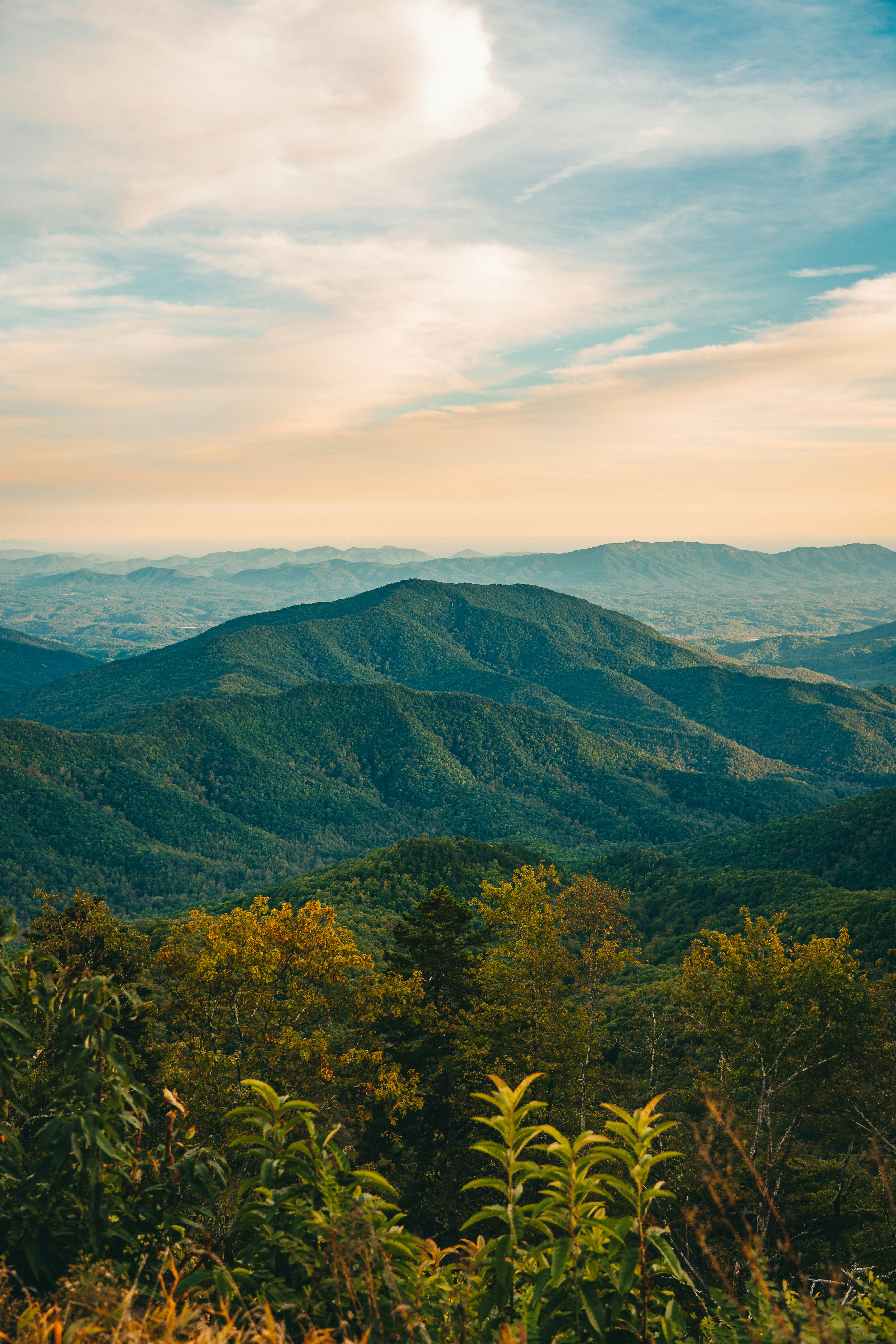 Photo by joshherreraphoto