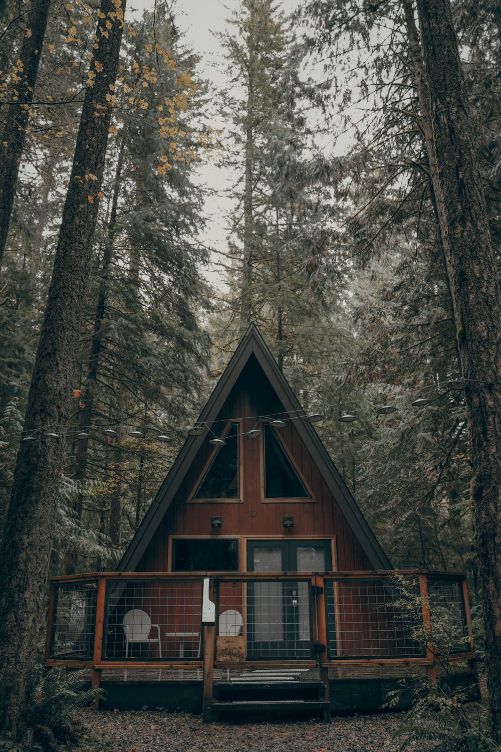 brown wooden cabin surrounded by trees