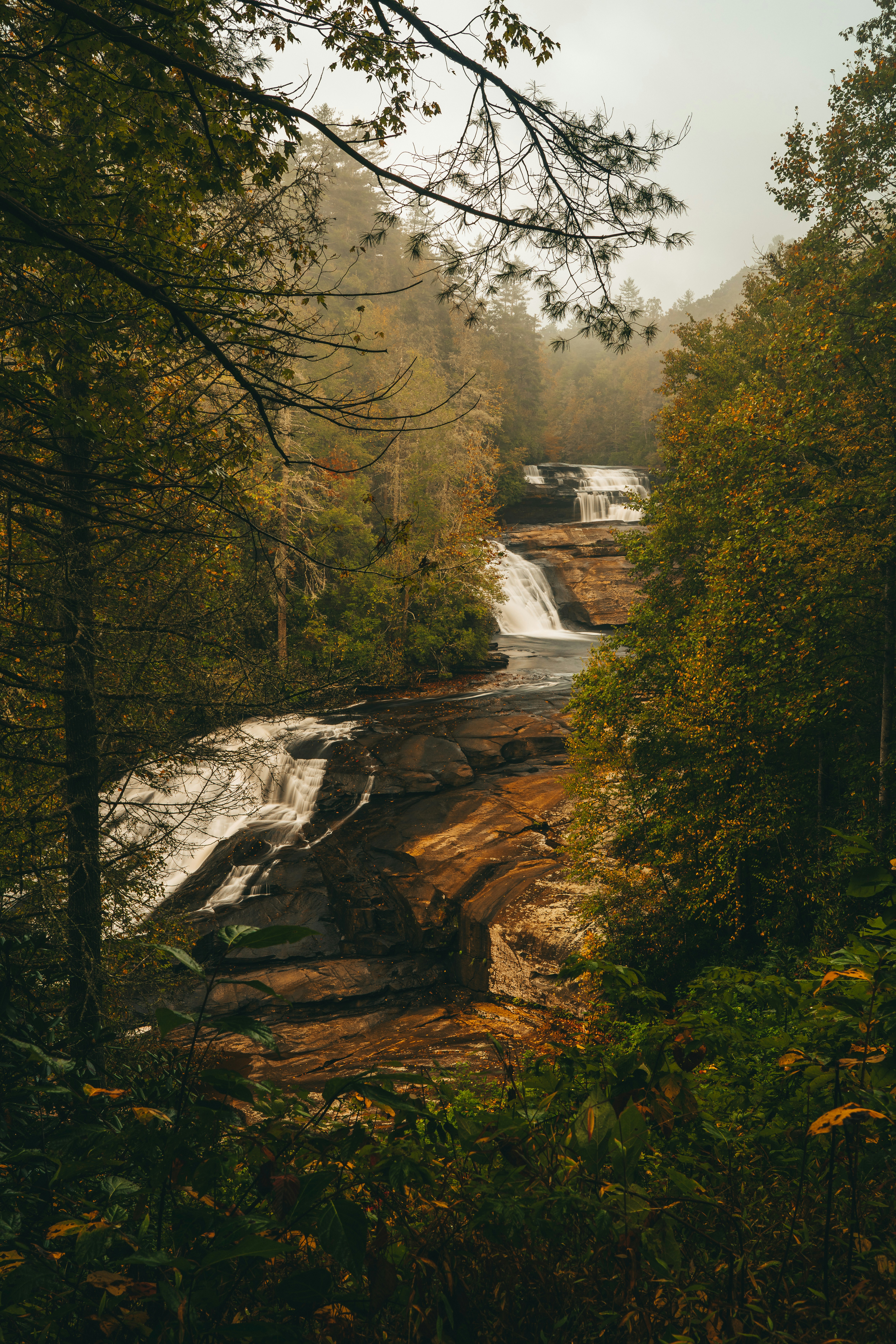 Photo by joshherreraphoto