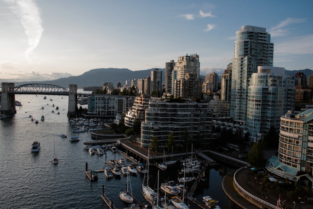 aerial photography of city skyline during daytime