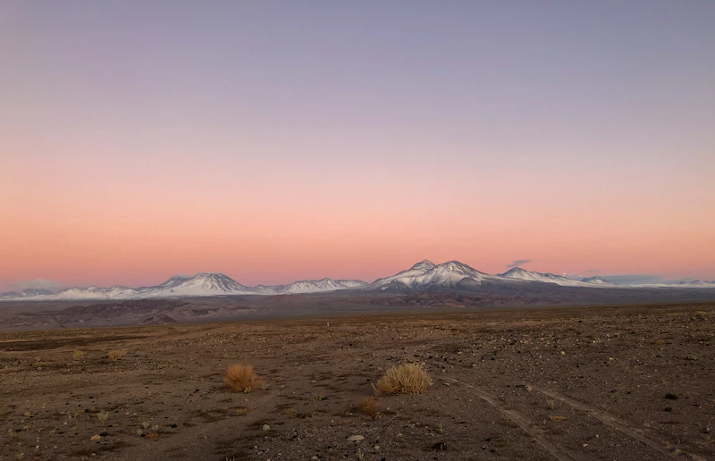 Best Quiet Cafes to Study in San Pedro de Atacama Without Getting Kicked Out