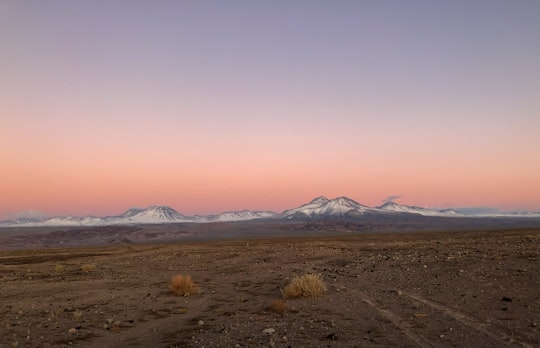 brown field during daytime in San Pedro de Atacama Chile
