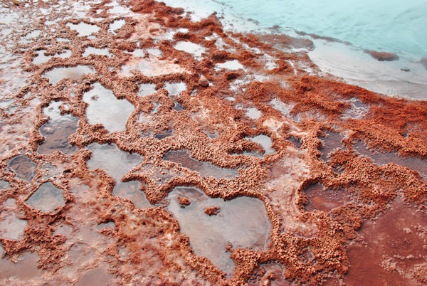 Tatio Geysers at Sunrise - private basis