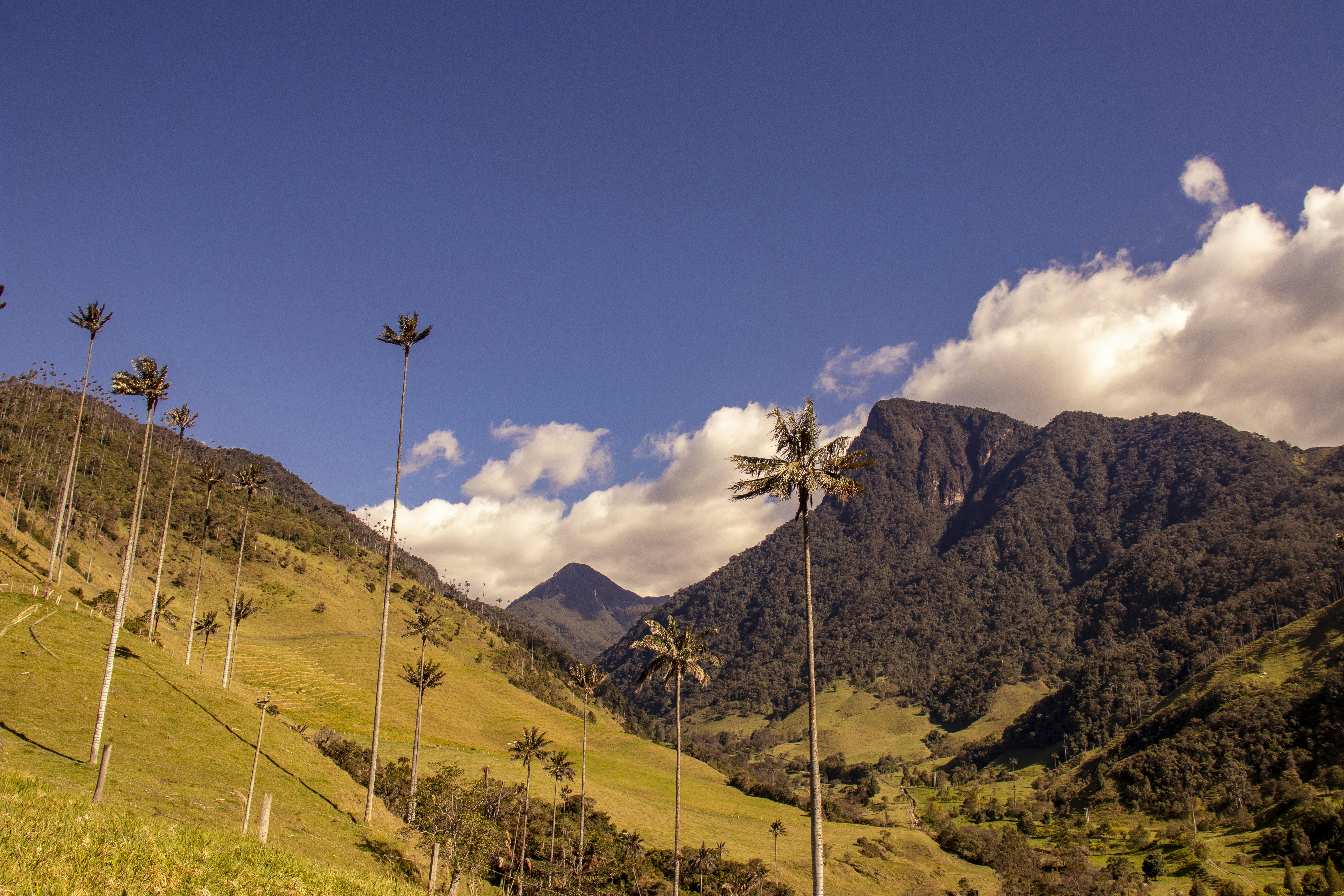 Photo by quinterocamilaa