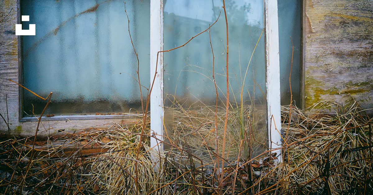 Sash window lean on used full-lite door photo – Free Outdoors Image on ...