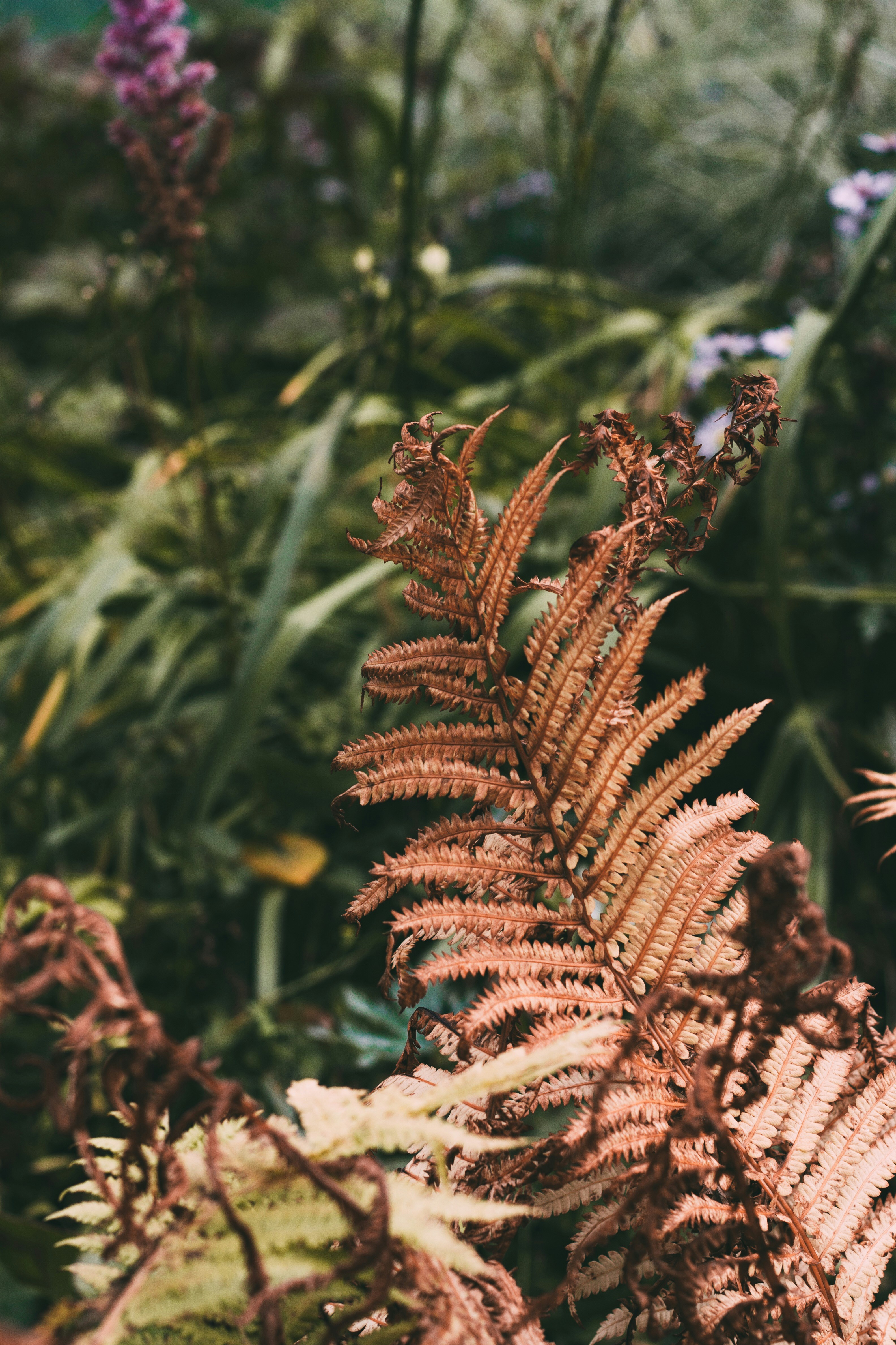 Photo by rolig_basseng