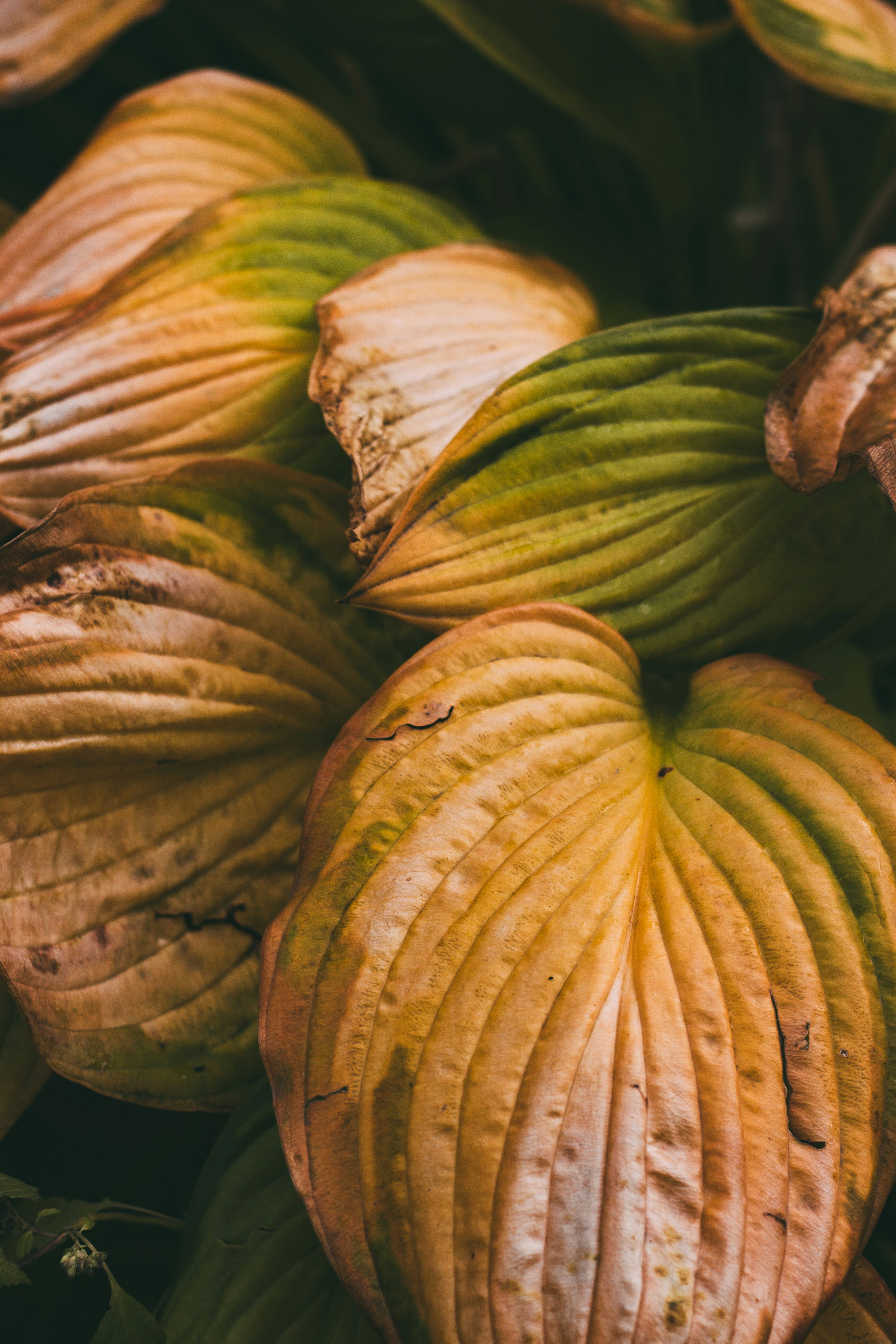 Photo by rolig_basseng