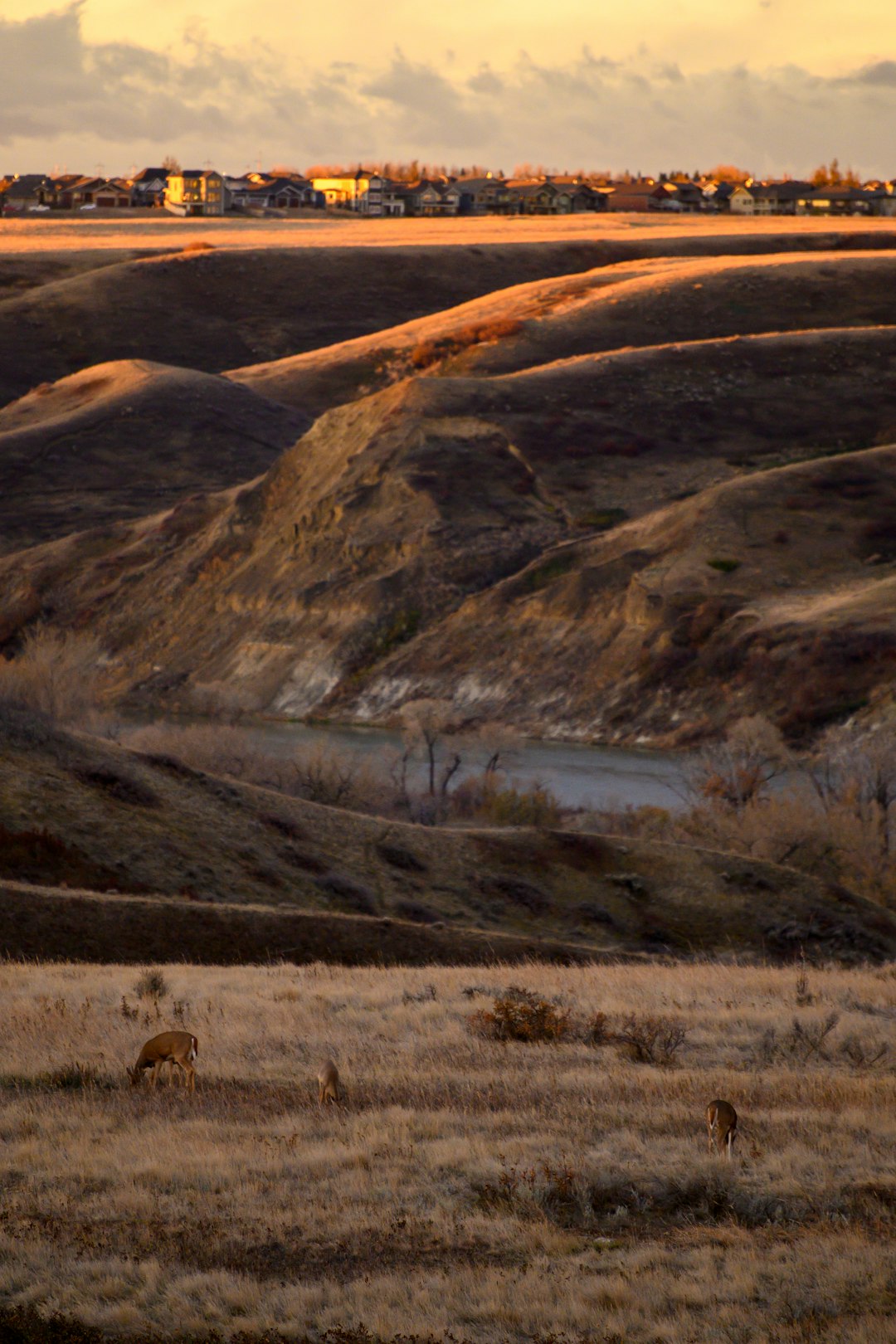 travelers stories about Badlands in Lethbridge, Canada