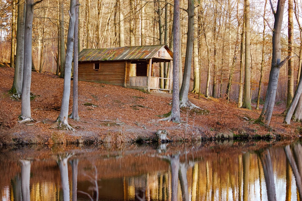 brown wooden house near body of water and trees