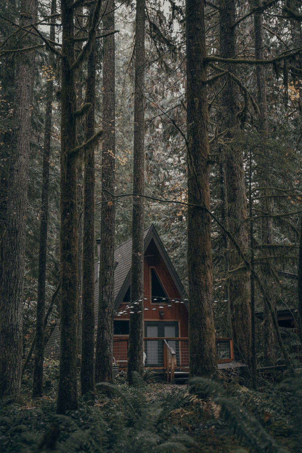 brown wooden house