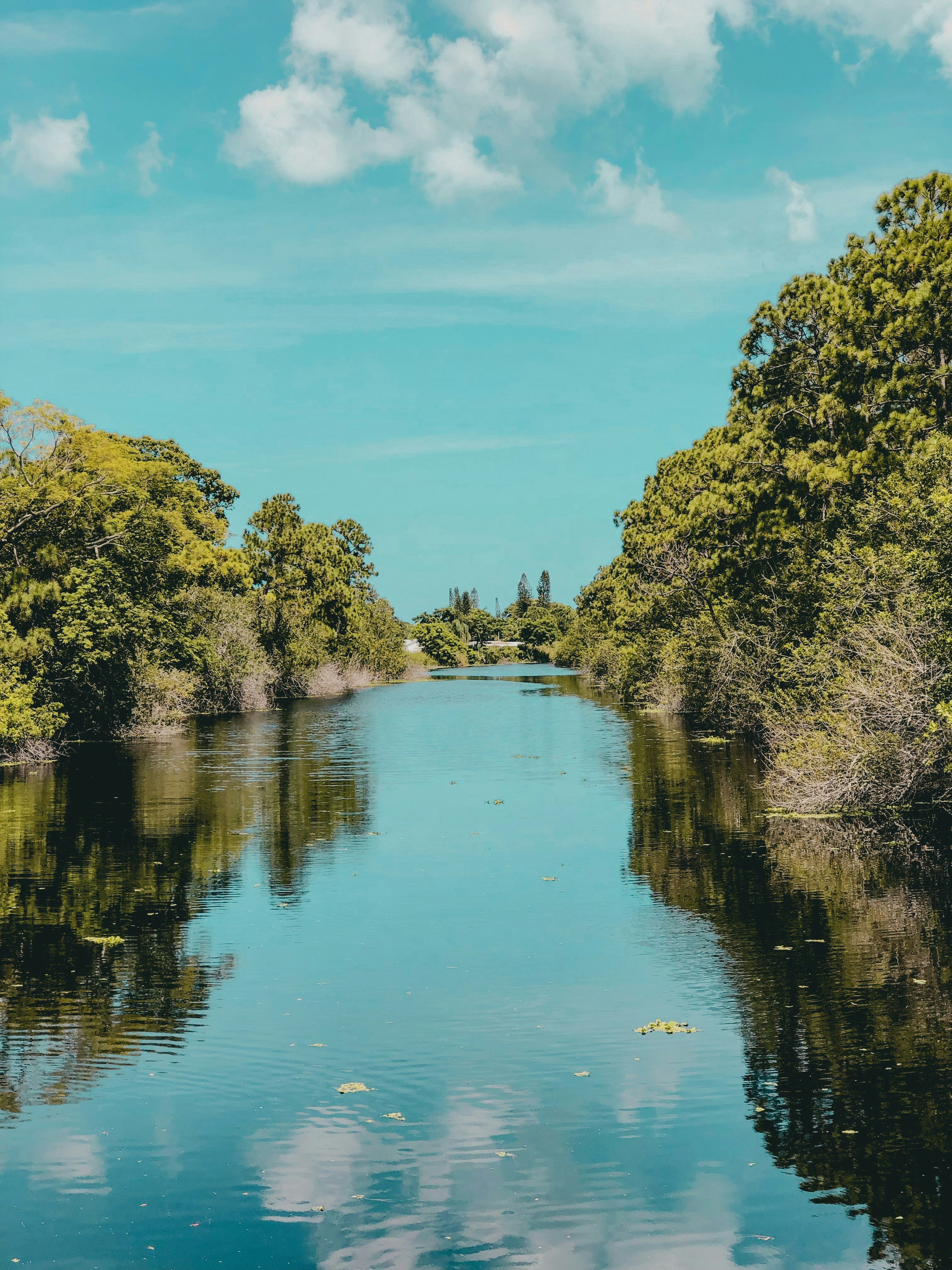 Photo by lucasponteshue