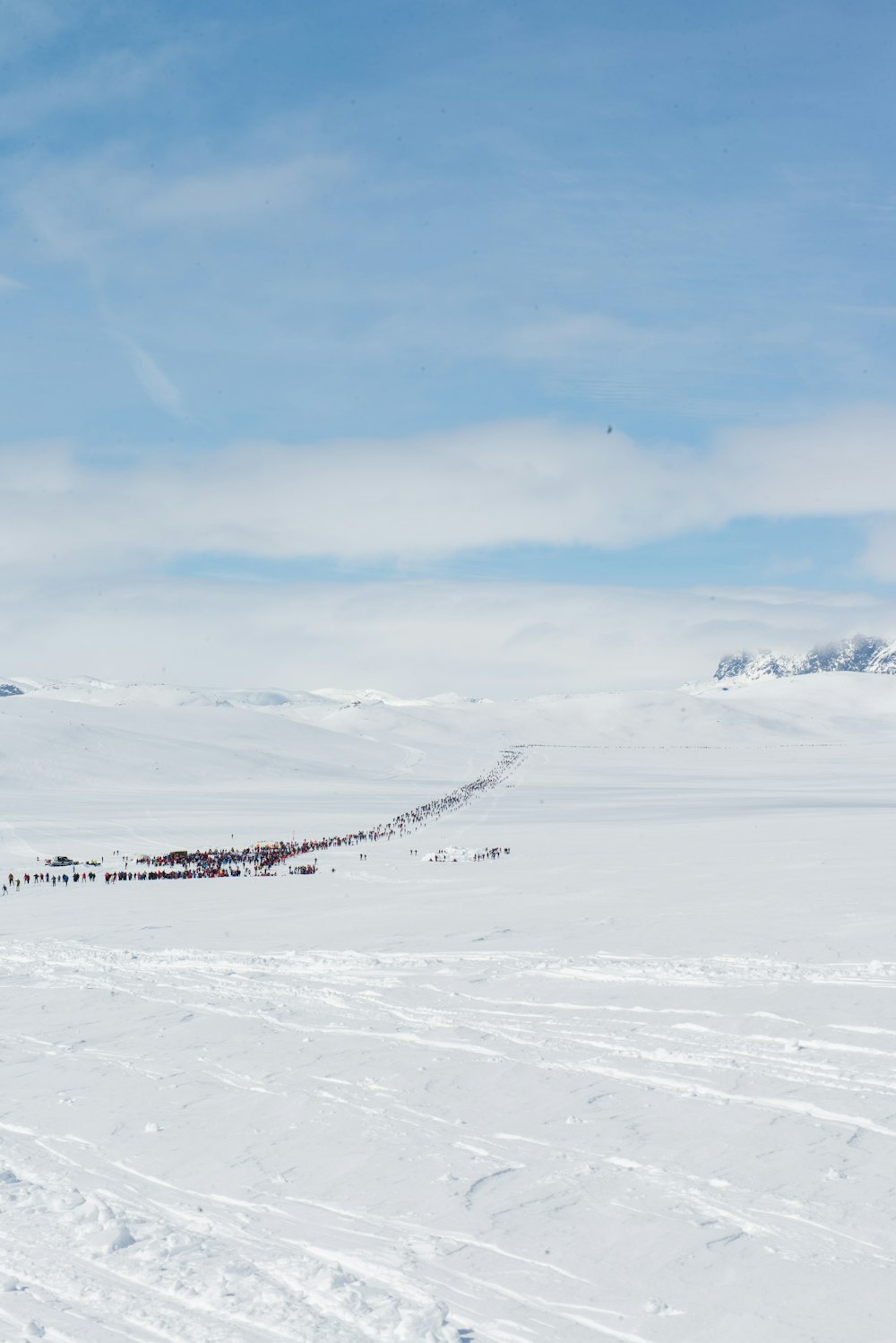 snow field photograph