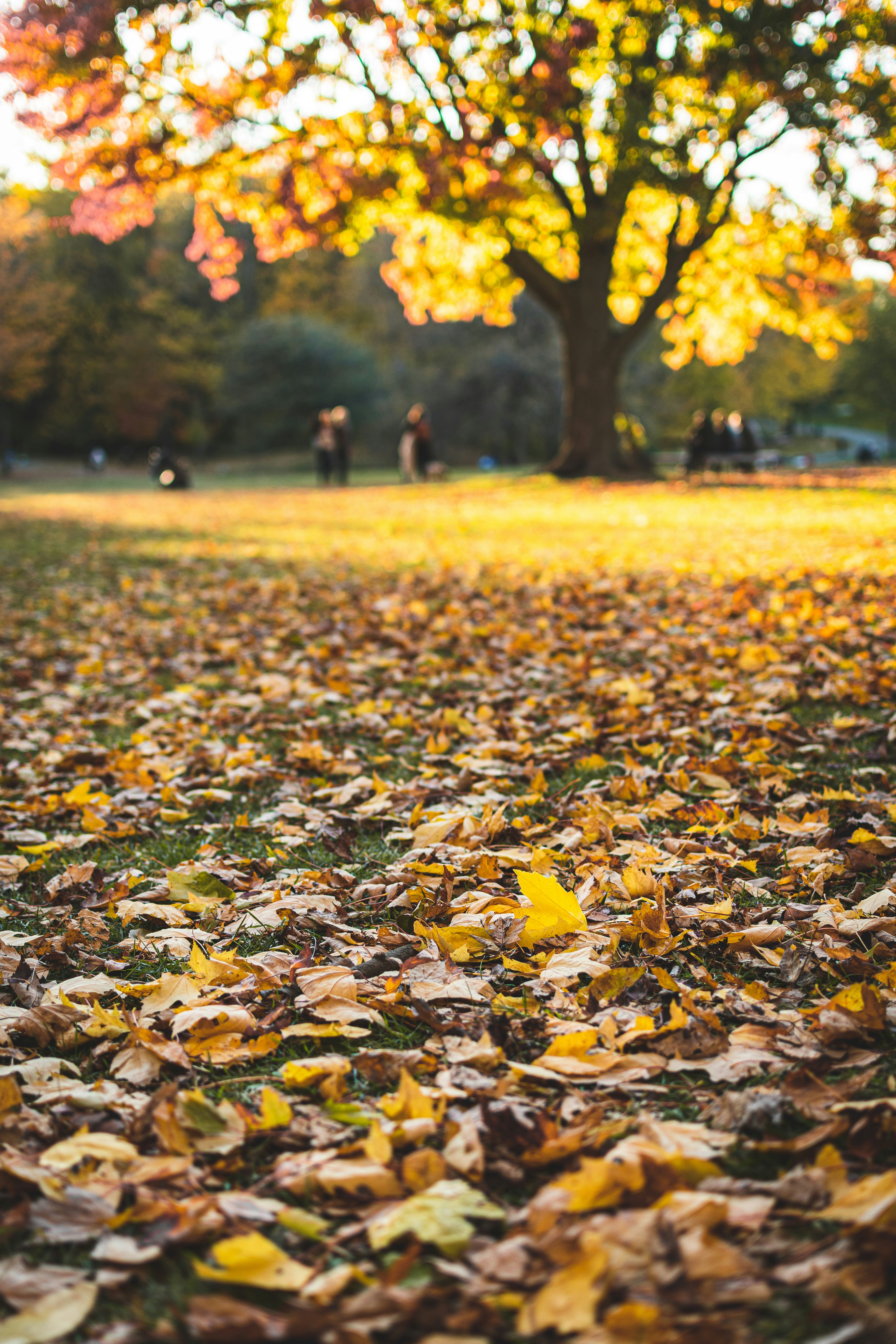 Photo by etiennedelorieux