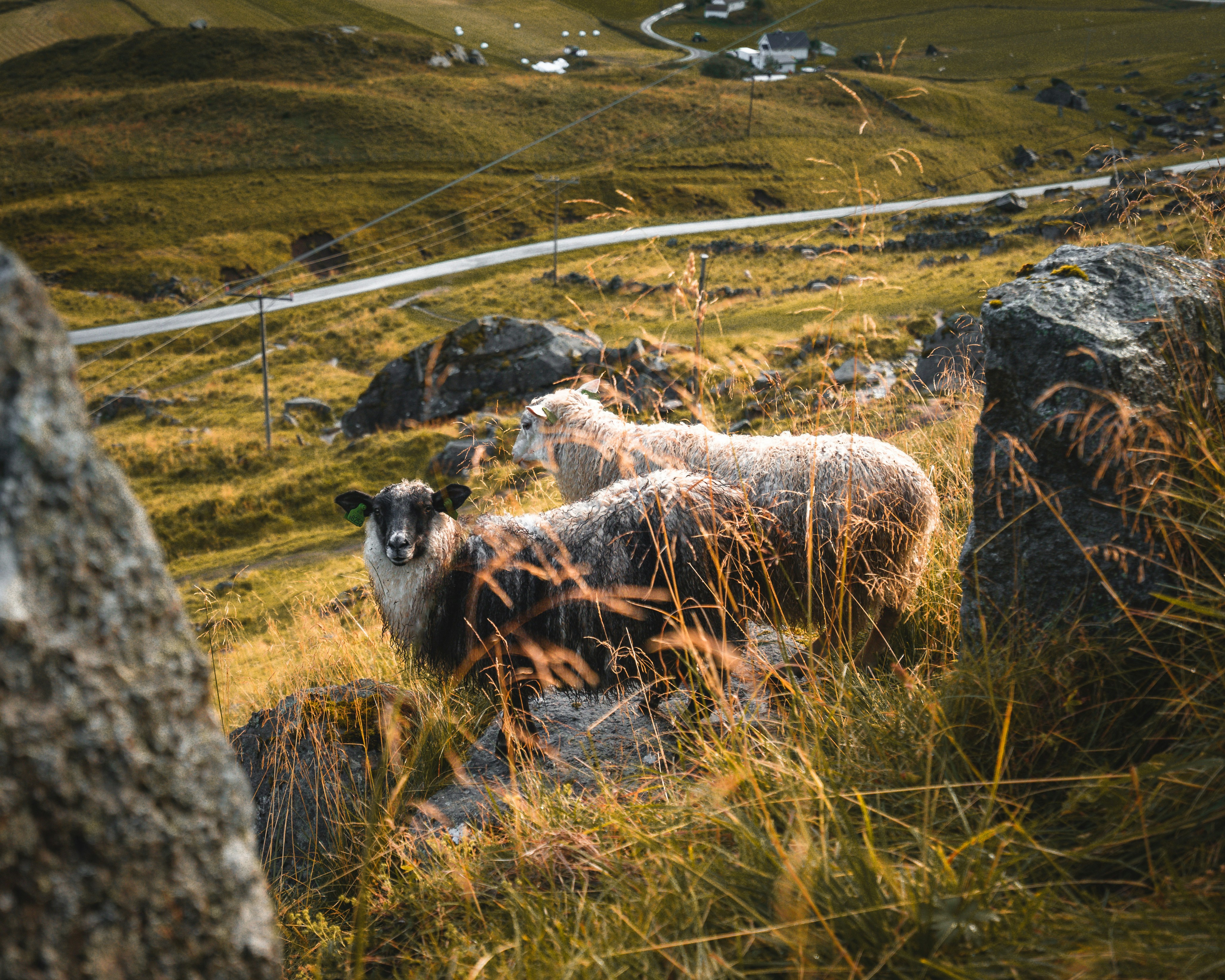 Photo by ansgarscheffold