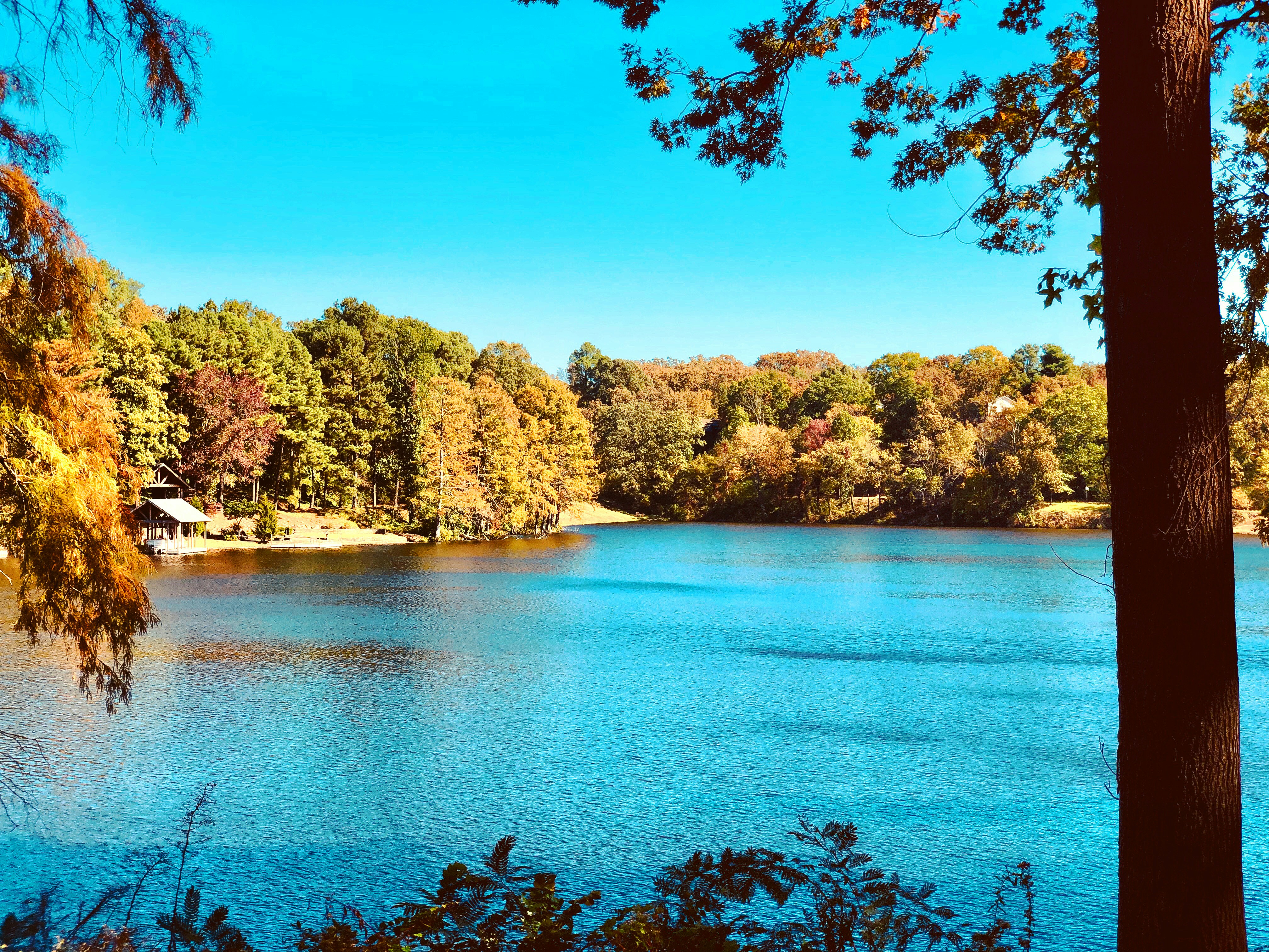 Photo by itsfullofstars