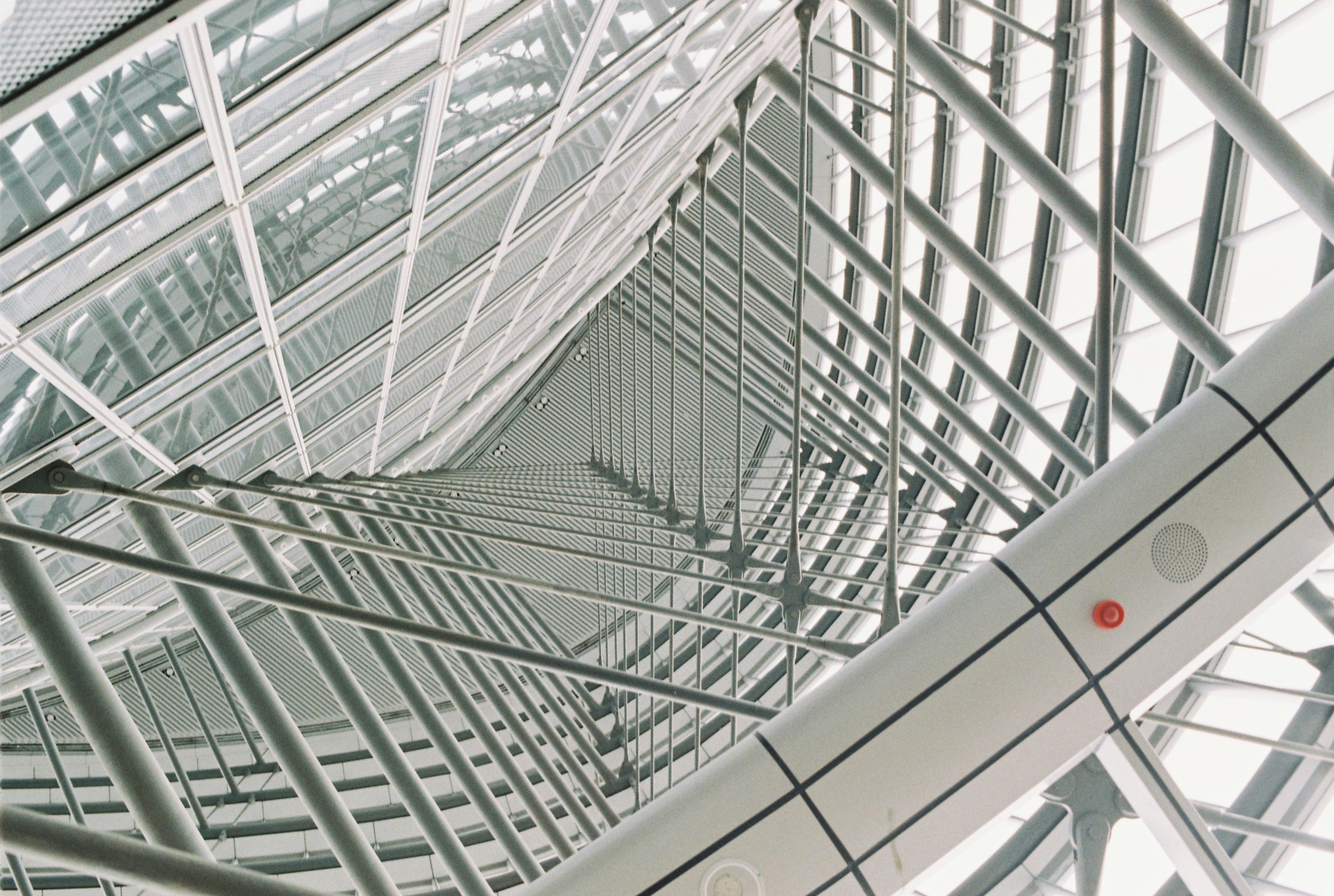 Photo by geraltyichen