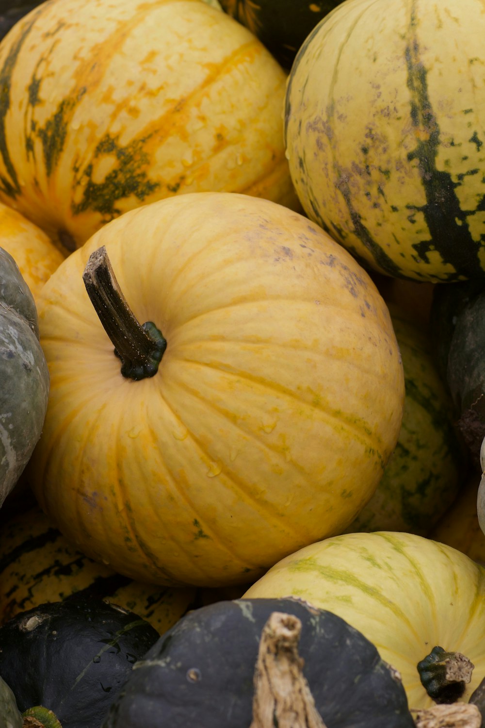 green and yellow fruits lot