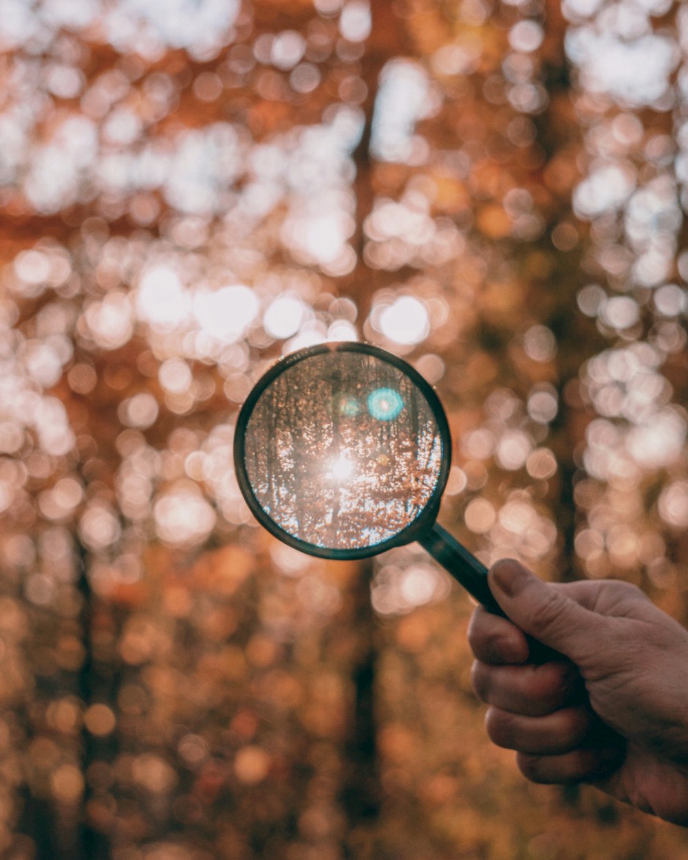 round black and green magnifying glass