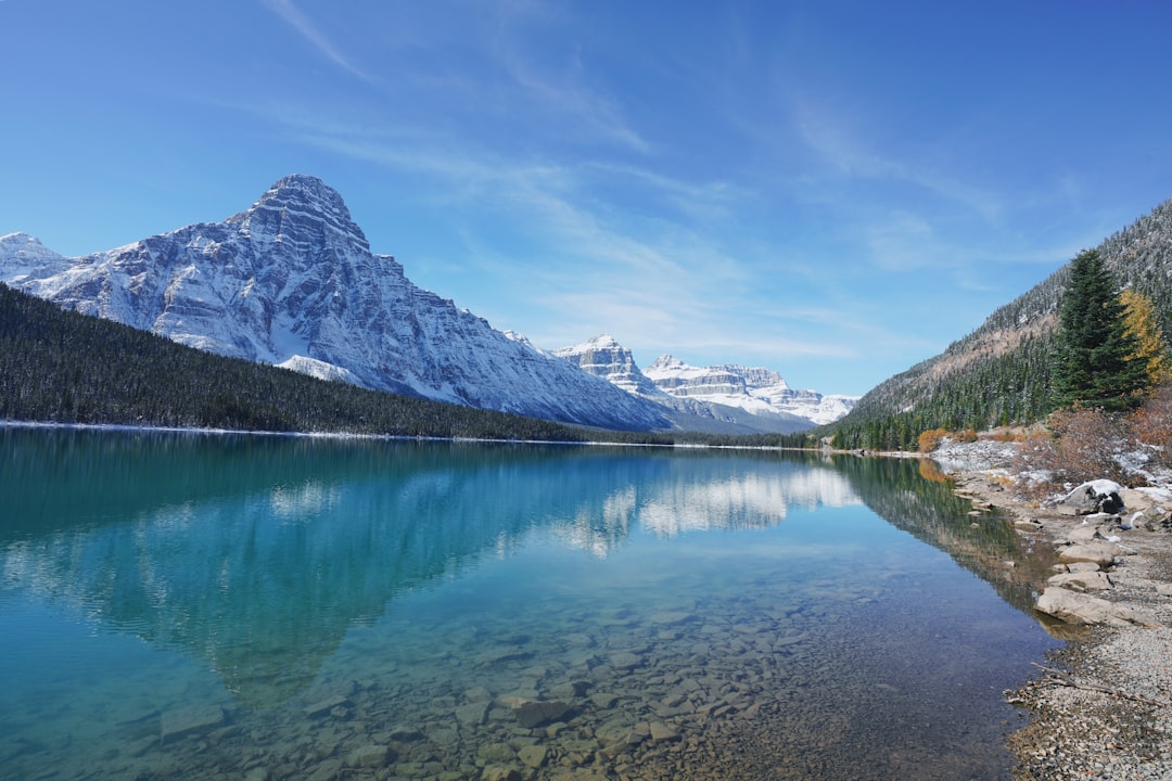 Mountain range photo spot Bow Lake Waterfowl Lakes Campground