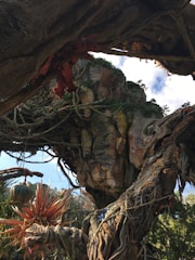 Screenshot of Zaetherfall gameplay showing a vivid fantasy landscape with characters in action.