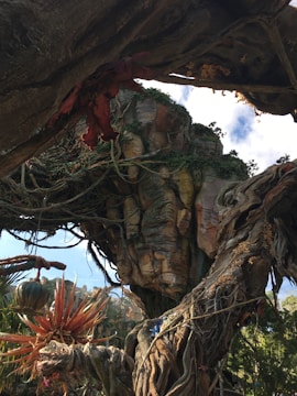 Screenshot of a vibrant 3D fantasy adventure game with lush landscapes and dynamic characters.