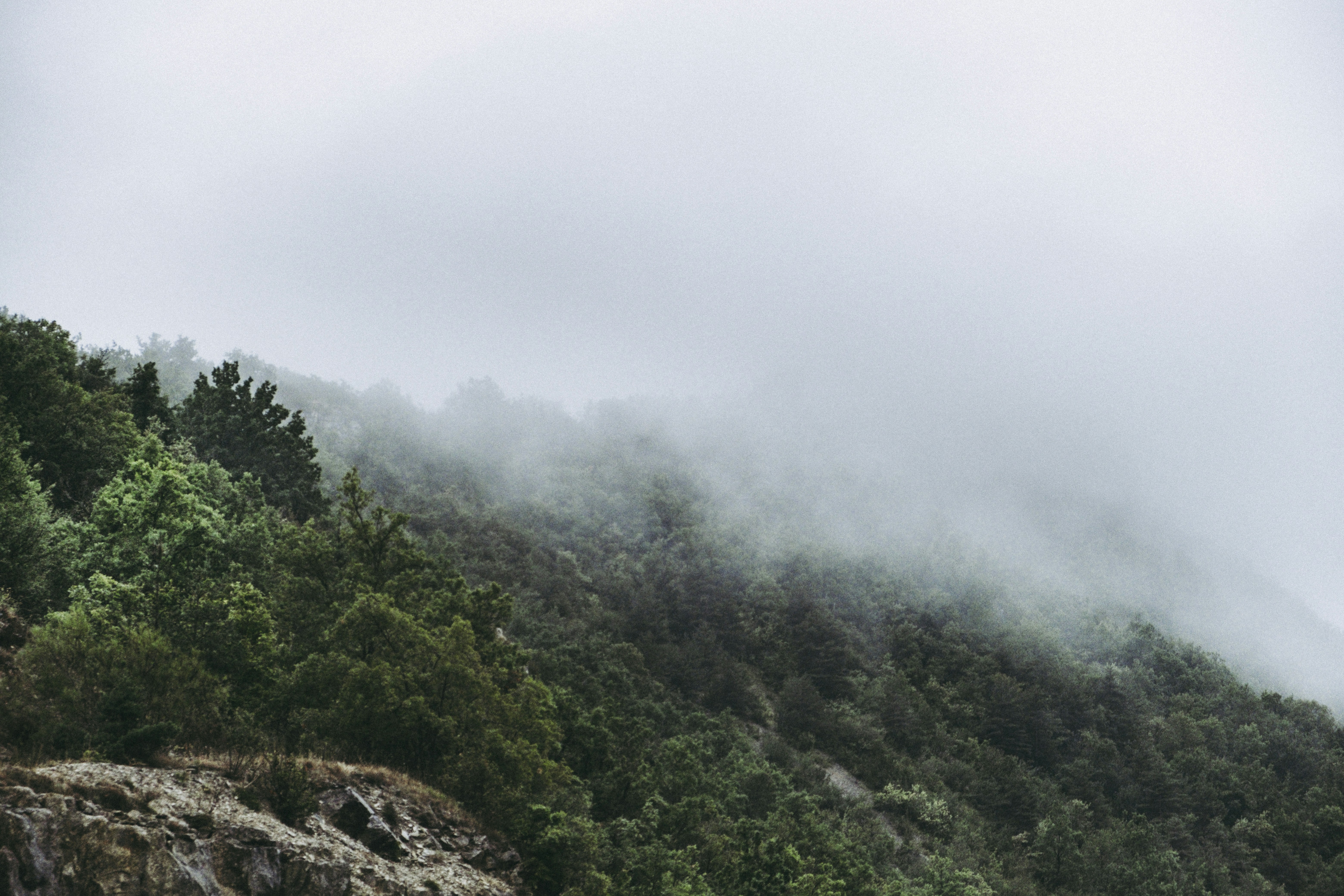 Photo by geoffreychevt