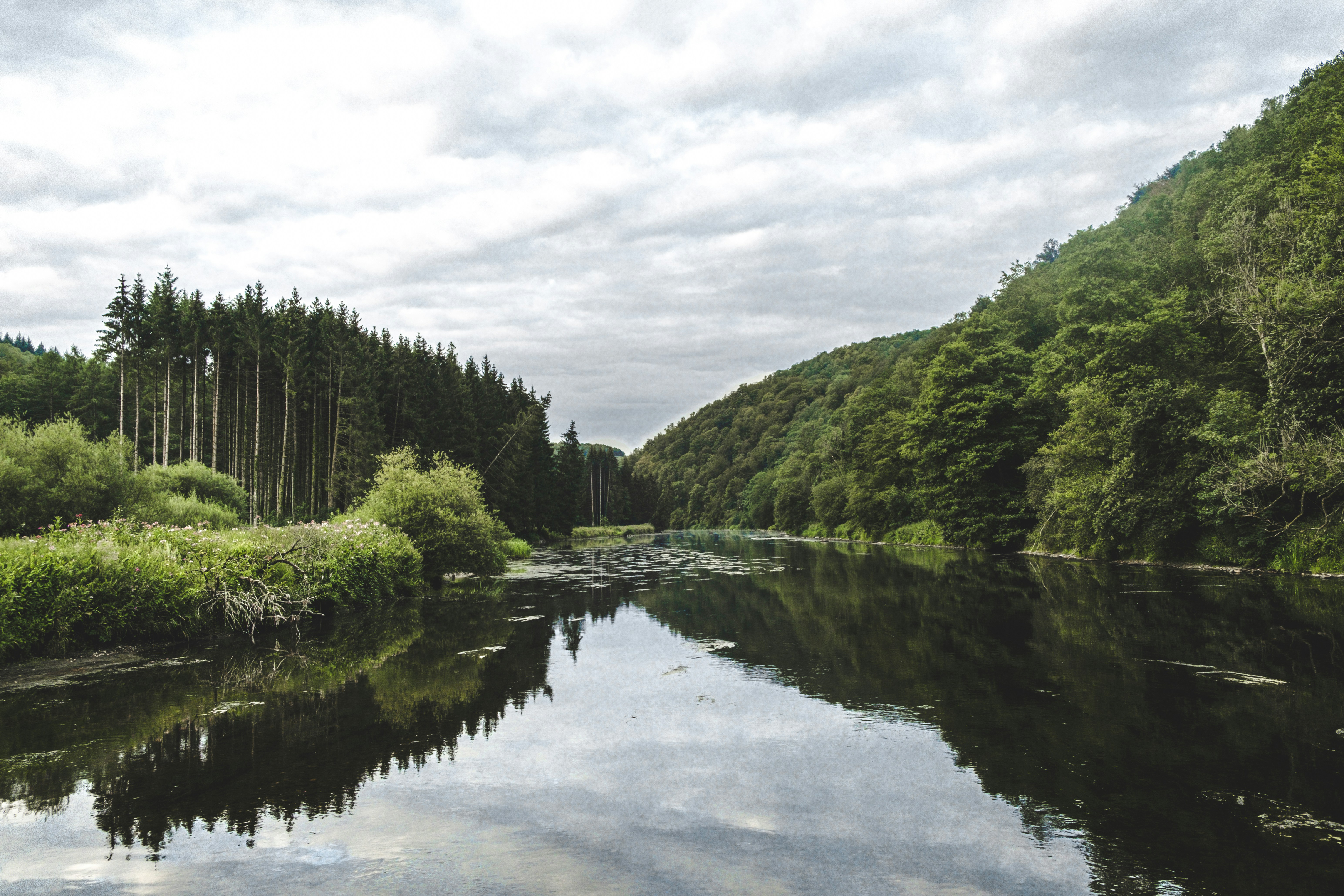 Photo by geoffreychevt