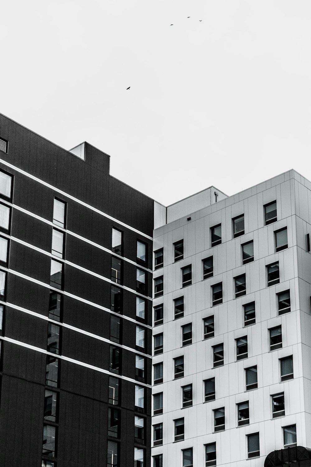 white and brown concrete building