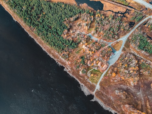 Aerial view of a landscape featuring a dense forest with various shades of green and autumnal colors. There is a cluster of small wooden buildings situated among the trees, connected by small roads. The land is bordered by a dark body of water on one side.
