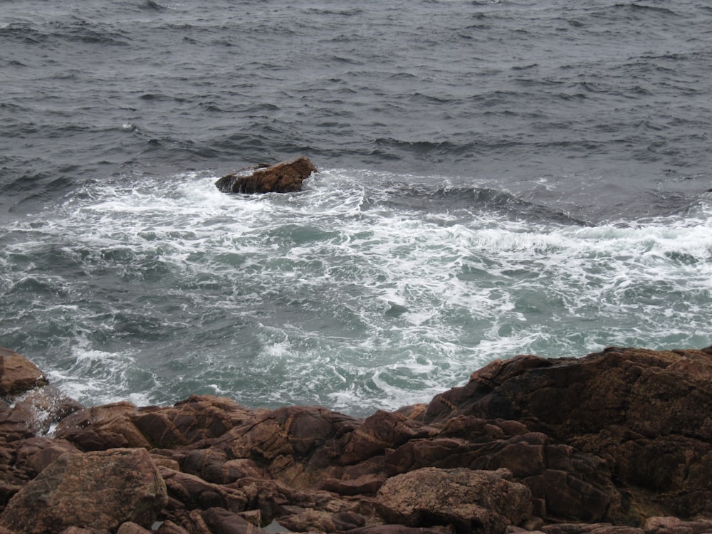 rippling body of water