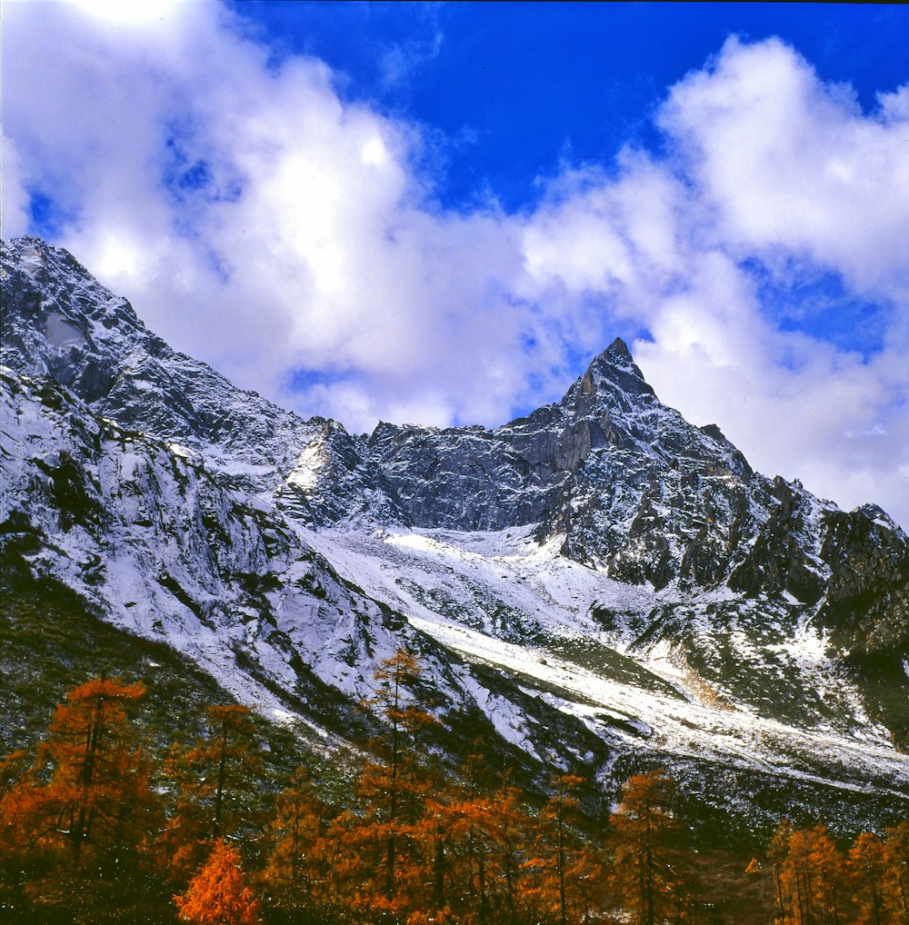 white and gray mountains