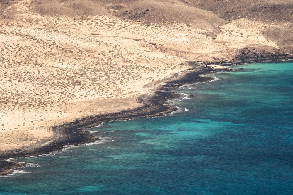 ocean during daytime