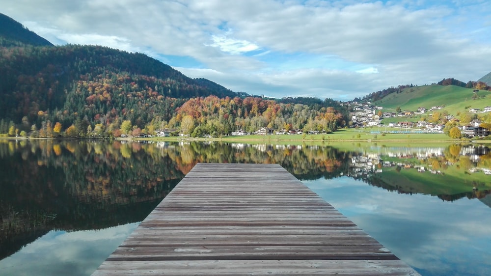 brown wooden dock