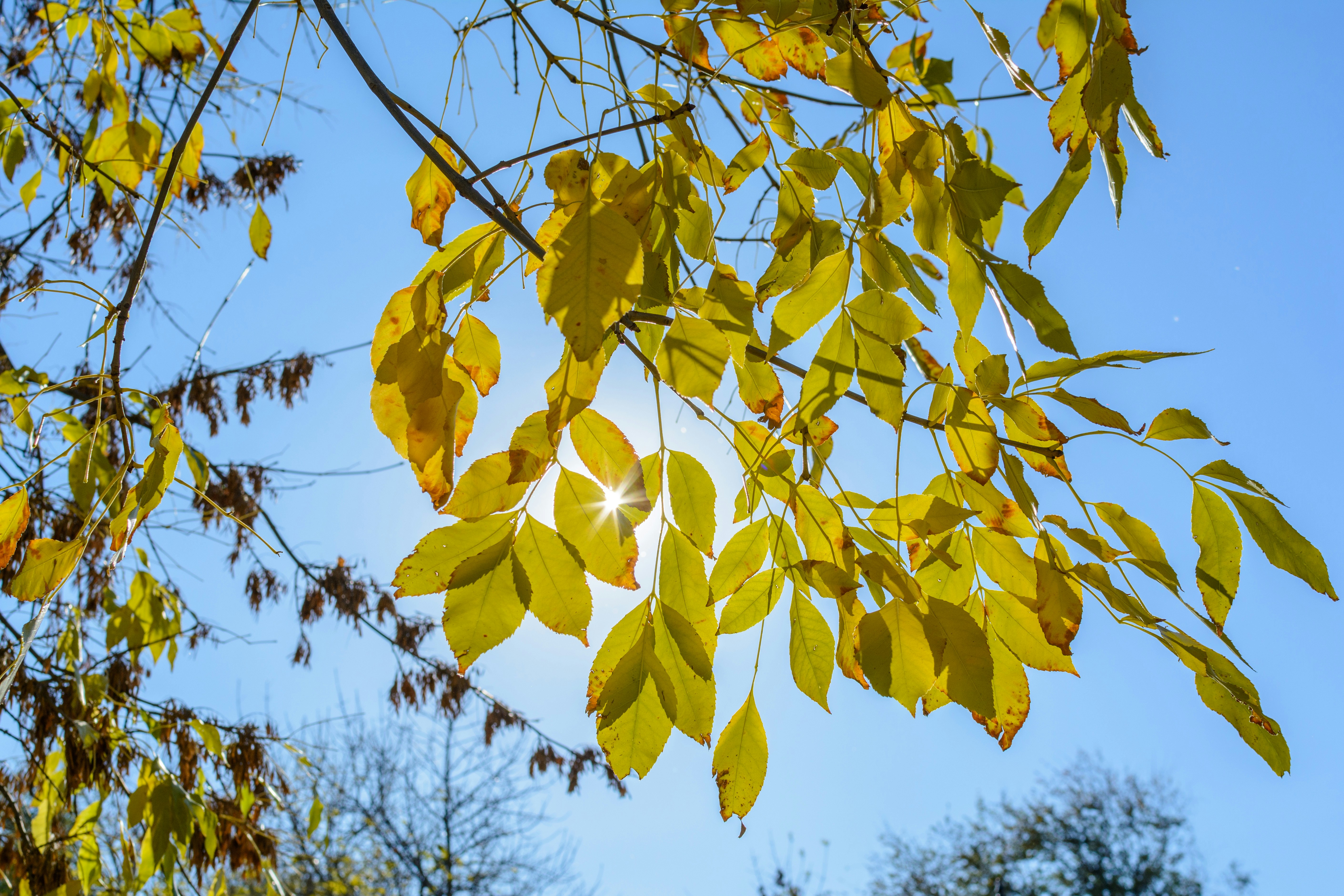 Photo by anton111111